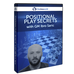 Positional Play Secrets with GM Ibro Saric