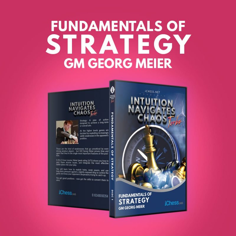 Fundamentals of Strategy – GM Georg Meier