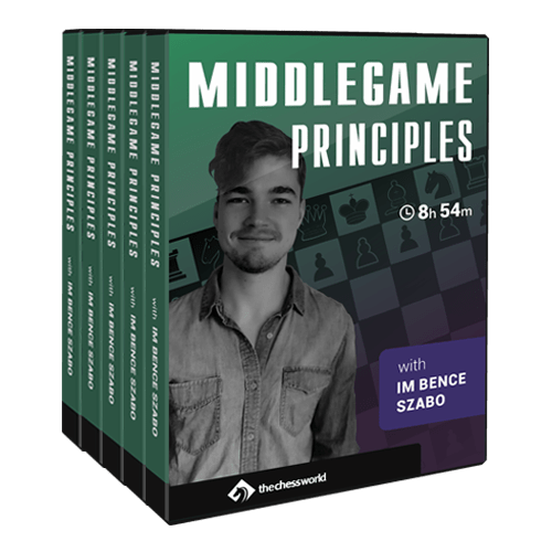 7 Most Important Middlegame Principles - TheChessWorld