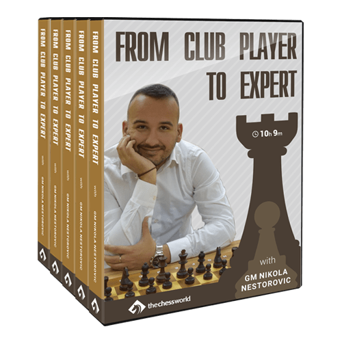 From Club Player to Expert with GM Nikola Nestorovic