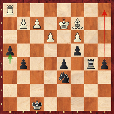 Ragozin Defense: Complete Repertoire against 1.d4