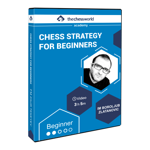 Chess Strategy for Beginners with IM Boroljub Zlatanovic
