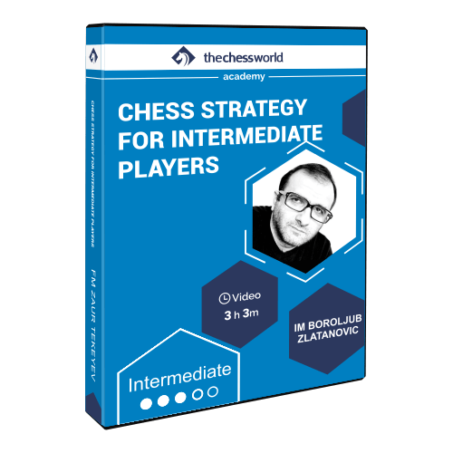 Chess Strategy for Intermediate Players with IM Boroljub Zlatanovic
