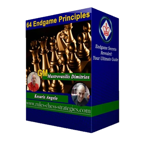 64 Endgame Principles