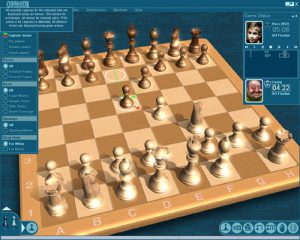 How to Use Chess Programs?
