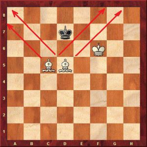 two bishops checkmate