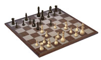 Total Chess: Opening Mistakes