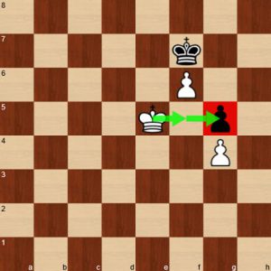  Protected Passed Pawn