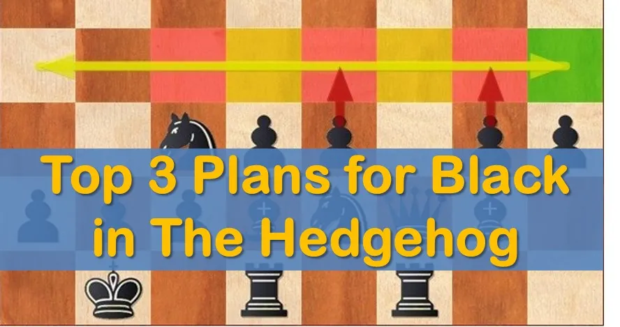 Top 3 Plans for Black in the Hedgehog
