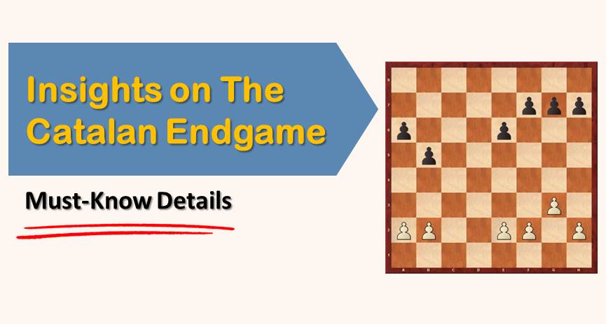 CHESS ENDGAMES FOR COMPLETE BEGINNERS: The Concise Step by Step Guide on  How to Play Chess Endgames for Beginners Including Learning Rules,  Strategies and Instructions to Win Chess Endgames by Robert Ticker