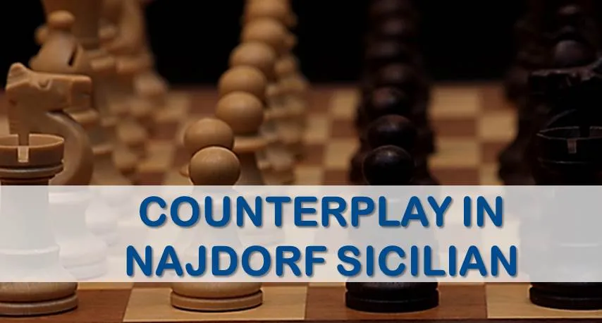 Counterplay in the Najdorf Sicilian