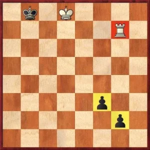 7 things about chess beginners don't get