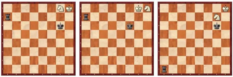 rook vs. knight endgames 1