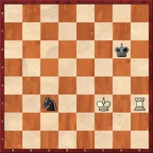 rook vs. knight endgames 3