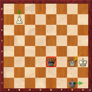 5 Carlsen Stalemate