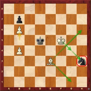 6 Shankland Stalemate