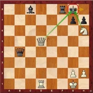 Chess Tactics double check