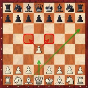 Best Chess Opening Moves